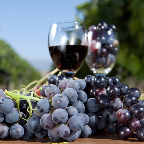 Trekking and tasting on the Amalfi Coast